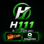 H111